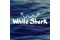 Креативное агентство White Shark